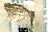  ( - NoA-08-126)  @12 [ ] Unspecified (default): All Rights Reserved  Unspecified Unspecified