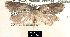  ( - NoA-08-128)  @13 [ ] Unspecified (default): All Rights Reserved  Unspecified Unspecified