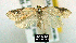  ( - NoA-08-129)  @13 [ ] Unspecified (default): All Rights Reserved  Unspecified Unspecified