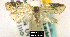  ( - NoA-08-130)  @12 [ ] Unspecified (default): All Rights Reserved  Unspecified Unspecified