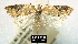  ( - NoA-08-131)  @13 [ ] Unspecified (default): All Rights Reserved  Unspecified Unspecified