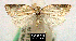  ( - NoA-08-132)  @13 [ ] Unspecified (default): All Rights Reserved  Unspecified Unspecified