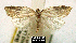  ( - NoA-08-133)  @13 [ ] Unspecified (default): All Rights Reserved  Unspecified Unspecified