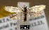  ( - NoA-08-149)  @13 [ ] Unspecified (default): All Rights Reserved  Unspecified Unspecified