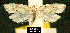  ( - NoA-08-151)  @13 [ ] Unspecified (default): All Rights Reserved  Unspecified Unspecified