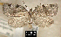  ( - NoA-08-176)  @13 [ ] Unspecified (default): All Rights Reserved  Unspecified Unspecified