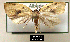 ( - NoA-08-179)  @13 [ ] Unspecified (default): All Rights Reserved  Unspecified Unspecified
