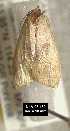  ( - NoA-08-180)  @12 [ ] Unspecified (default): All Rights Reserved  Unspecified Unspecified