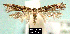  ( - NoA-08-184)  @11 [ ] Unspecified (default): All Rights Reserved  Unspecified Unspecified