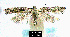  ( - NoA-08-185)  @11 [ ] Unspecified (default): All Rights Reserved  Unspecified Unspecified