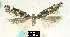  ( - NoA-08-186)  @11 [ ] Unspecified (default): All Rights Reserved  Unspecified Unspecified