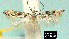  ( - NoA-08-191)  @13 [ ] Unspecified (default): All Rights Reserved  Unspecified Unspecified