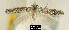  ( - NoA-08-202)  @12 [ ] Unspecified (default): All Rights Reserved  Unspecified Unspecified