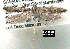  ( - NoA-08-226)  @12 [ ] Unspecified (default): All Rights Reserved  Unspecified Unspecified