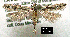  ( - NoA-08-227)  @12 [ ] Unspecified (default): All Rights Reserved  Unspecified Unspecified