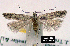  ( - NoA-08-228)  @13 [ ] Unspecified (default): All Rights Reserved  Unspecified Unspecified
