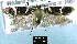  ( - NoA-08-253)  @12 [ ] Unspecified (default): All Rights Reserved  Unspecified Unspecified