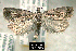  ( - NoA-08-300)  @12 [ ] Unspecified (default): All Rights Reserved  Unspecified Unspecified