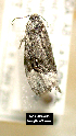  ( - NoA-08-305)  @12 [ ] Unspecified (default): All Rights Reserved  Unspecified Unspecified