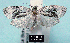  ( - NoA-08-308)  @13 [ ] Unspecified (default): All Rights Reserved  Unspecified Unspecified