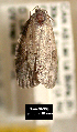  ( - NoA-08-309)  @12 [ ] Unspecified (default): All Rights Reserved  Unspecified Unspecified