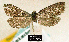  ( - NoA-08-318)  @12 [ ] Unspecified (default): All Rights Reserved  Unspecified Unspecified
