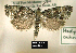  ( - NoA-08-326)  @14 [ ] Unspecified (default): All Rights Reserved  Unspecified Unspecified