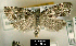 ( - NoA-08-327)  @13 [ ] Unspecified (default): All Rights Reserved  Unspecified Unspecified