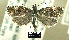  ( - NoA-08-330)  @11 [ ] Unspecified (default): All Rights Reserved  Unspecified Unspecified