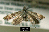  ( - NoA-08-331)  @12 [ ] Unspecified (default): All Rights Reserved  Unspecified Unspecified