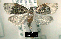  ( - NoA-08-335)  @14 [ ] Unspecified (default): All Rights Reserved  Unspecified Unspecified