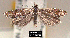  ( - NoA-08-350)  @13 [ ] Unspecified (default): All Rights Reserved  Unspecified Unspecified