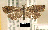  ( - NoA-08-354)  @13 [ ] Unspecified (default): All Rights Reserved  Unspecified Unspecified