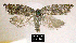  ( - NoA-08-362)  @13 [ ] Unspecified (default): All Rights Reserved  Unspecified Unspecified