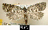  ( - NoA-08-372)  @13 [ ] Unspecified (default): All Rights Reserved  Unspecified Unspecified