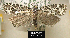  ( - NoA-08-375)  @14 [ ] Unspecified (default): All Rights Reserved  Unspecified Unspecified