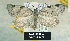  ( - NoA-08-384)  @12 [ ] Unspecified (default): All Rights Reserved  Unspecified Unspecified