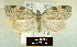  ( - NoA-08-385)  @11 [ ] Unspecified (default): All Rights Reserved  Unspecified Unspecified