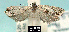  ( - NoA-08-418)  @11 [ ] Unspecified (default): All Rights Reserved  Unspecified Unspecified