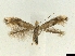  ( - CLV6346)  @11 [ ] CreativeCommons  Attribution Non-Commercial Share- (2018) Carlos Lopez Vaamonde Institut National de la Recherche Agronomique, Zoologie Forestiere