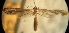  ( - IO0525)  @13 [ ] CreativeCommons  Attribution Non-Commercial Share-Alike (2016) Carlos Lopez Vaamonde Institut National de la Recherche Agronomique, Zoologie Forestiere