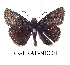  ( - RR-ERAF-ND001)  @12 [ ] Unspecified (default): All Rights Reserved  Unspecified Unspecified