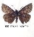  ( - RR-ERAF-ND002)  @12 [ ] Unspecified (default): All Rights Reserved  Unspecified Unspecified