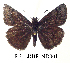  ( - RR-ERBR-ND001)  @13 [ ] Unspecified (default): All Rights Reserved  Unspecified Unspecified