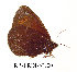  ( - RR-ERDI-NU001)  @12 [ ] Unspecified (default): All Rights Reserved  Unspecified Unspecified