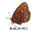  ( - RR-ERDI-NU002)  @12 [ ] Unspecified (default): All Rights Reserved  Unspecified Unspecified
