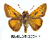  ( - RR-HEOT-ND001)  @15 [ ] Unspecified (default): All Rights Reserved  Unspecified Unspecified
