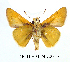  ( - RR-HEOT-ND001)  @14 [ ] Unspecified (default): All Rights Reserved  Unspecified Unspecified