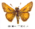  ( - RR-HEOT-ND002)  @15 [ ] Unspecified (default): All Rights Reserved  Unspecified Unspecified