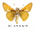  ( - RR-HEOT-ND002)  @14 [ ] Unspecified (default): All Rights Reserved  Unspecified Unspecified